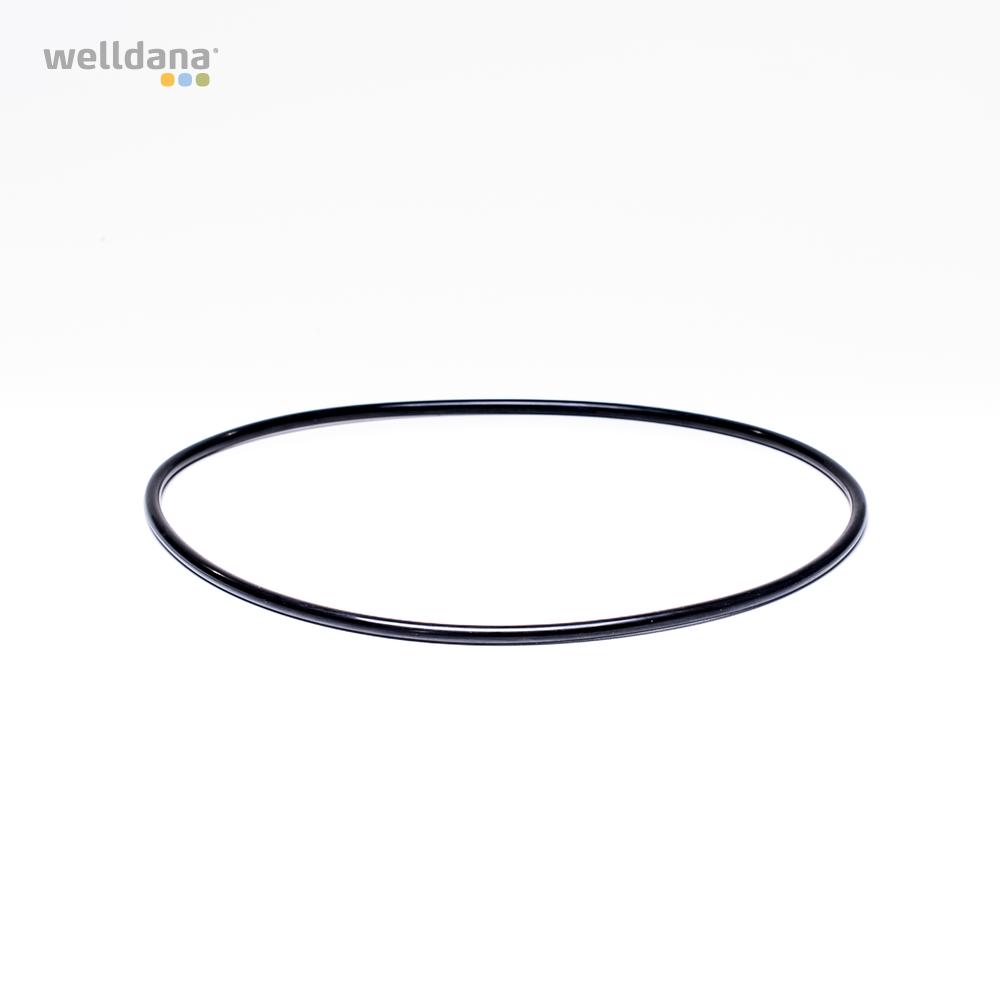 39 201900 Welldana0 Flange oring