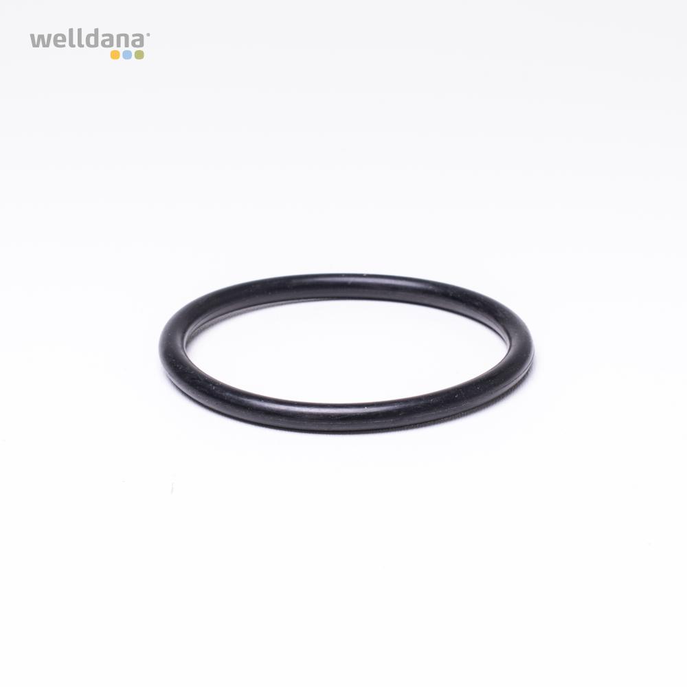 39 211300 Welldana0 Diffuser gasket Ondina