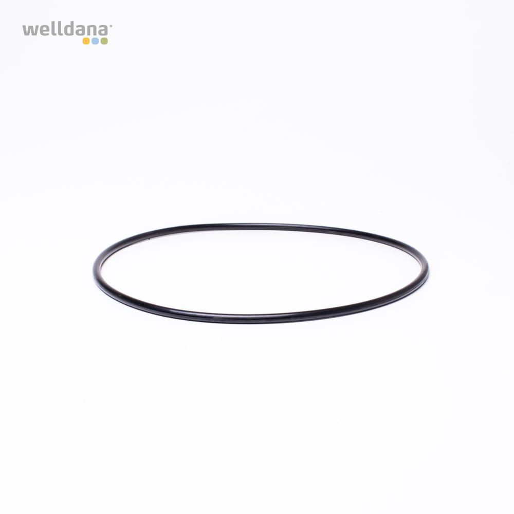 39 211900 Welldana0 Flange oring Ondina