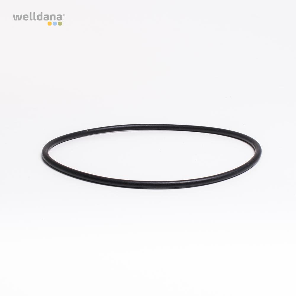 39 170436 Welldana0 Pool udstyr Oring