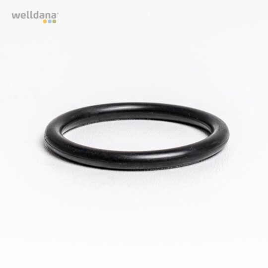 39 330089 welldana0 pool udstyr oring 25x3