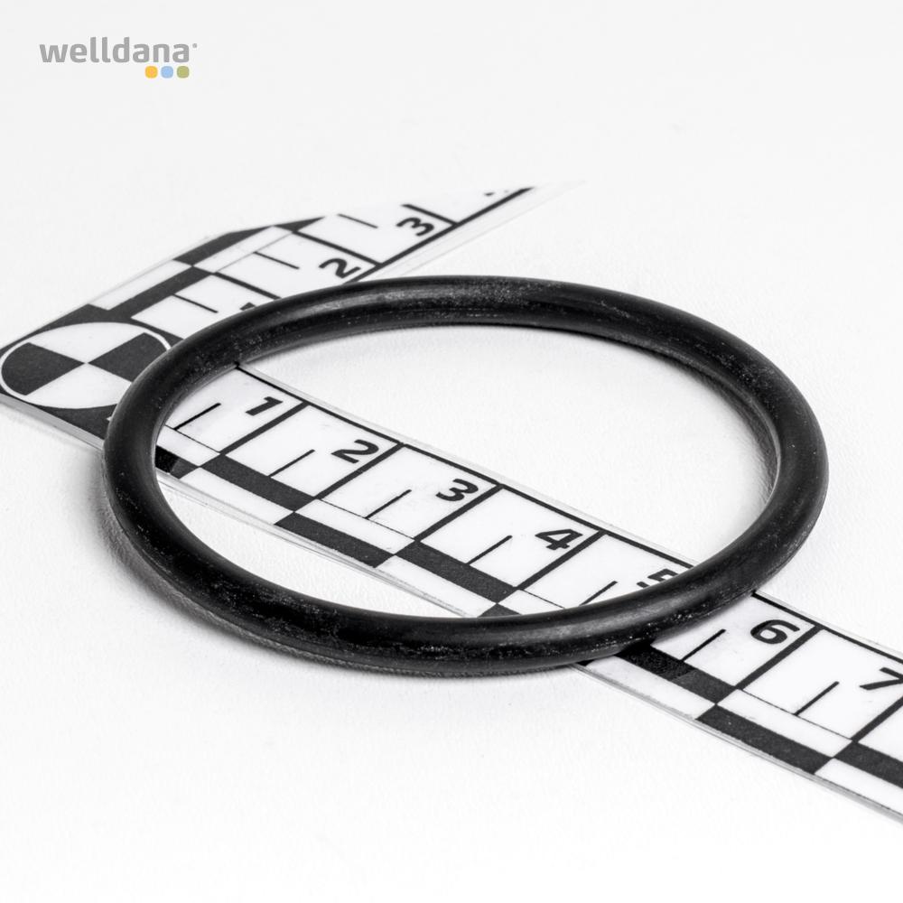 39 330097 welldana1 pool udstyr oring 47x4 mm