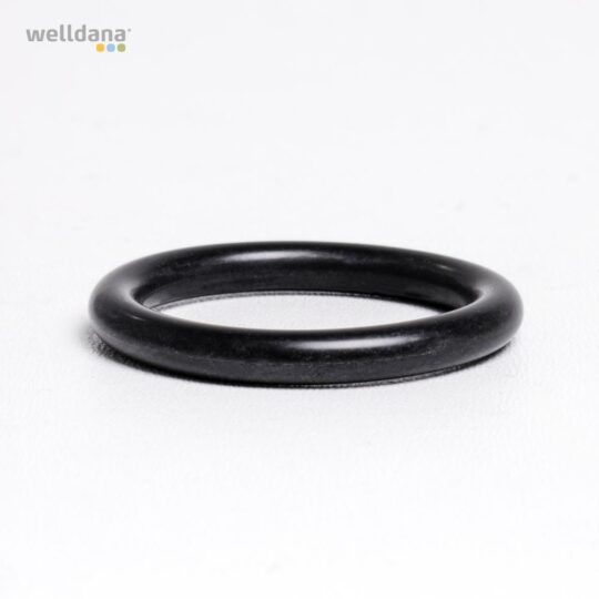 49 050040 welldana 0  pool udstyr oring til ventilplade multiportventil 12