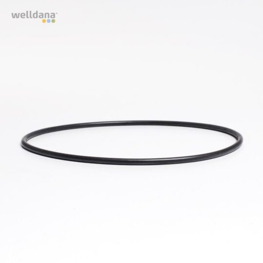 49 050041 welldana 0  pool udstyr oring til ventillget multiportventil 1