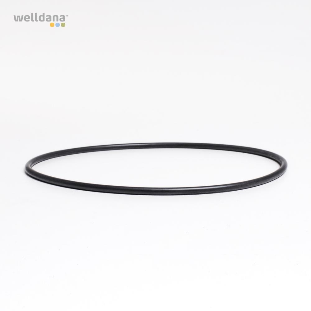 49 050041 welldana 0  pool udstyr oring til ventillget multiportventil 1