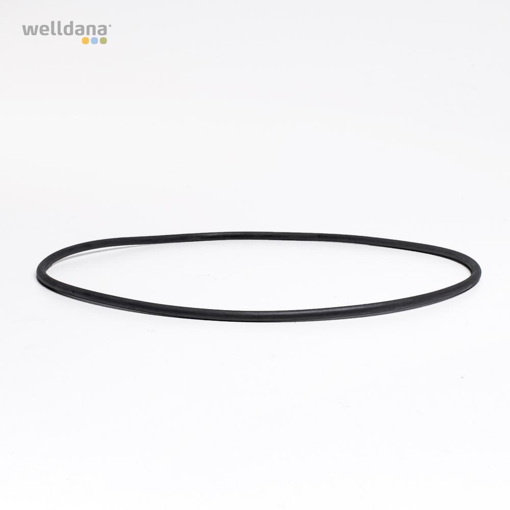 49 050190 welldana 0  pool udstyr oring til ventillget multiportventil 2