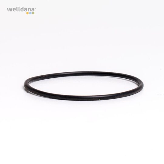 49 150019 welldana 0  pool udstyr oring til filter ror 50 mm welldana sandfilter