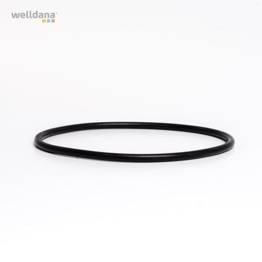 49 210003 welldana 0  pool udstyr oring til btfilter nr 03 6mm   145mm