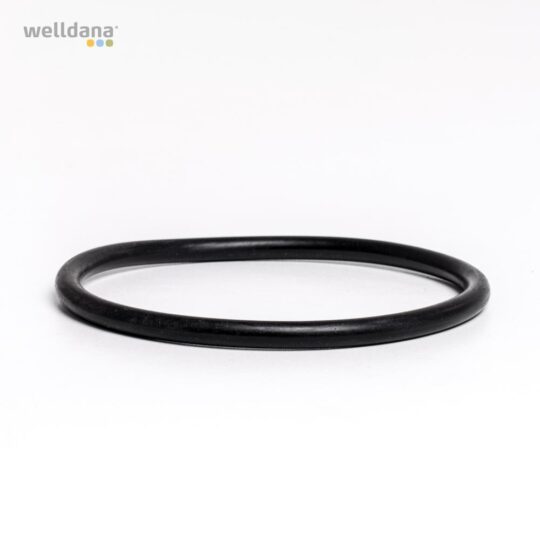 49 240021 welldana 0  pool udstyr oring fsightglass ssaltea