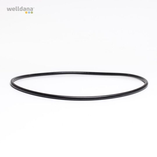 49 421108 welldana0 pool udstyr oring t forfilter 8l d266 7mm