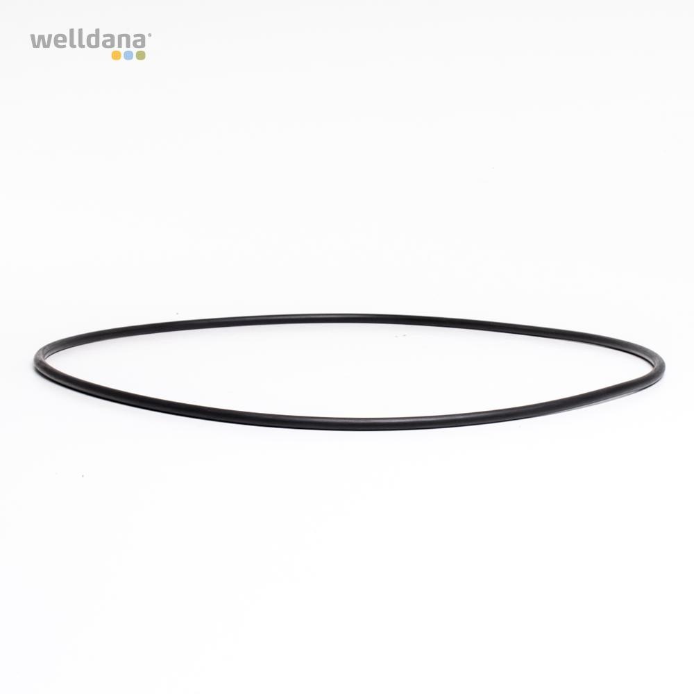 49 421160 welldana0 pool udstyr oring t forfilter 60l d494 7mm