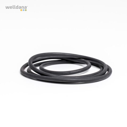 49 421160 welldana1 pool udstyr oring t forfilter 60l d494 7mm