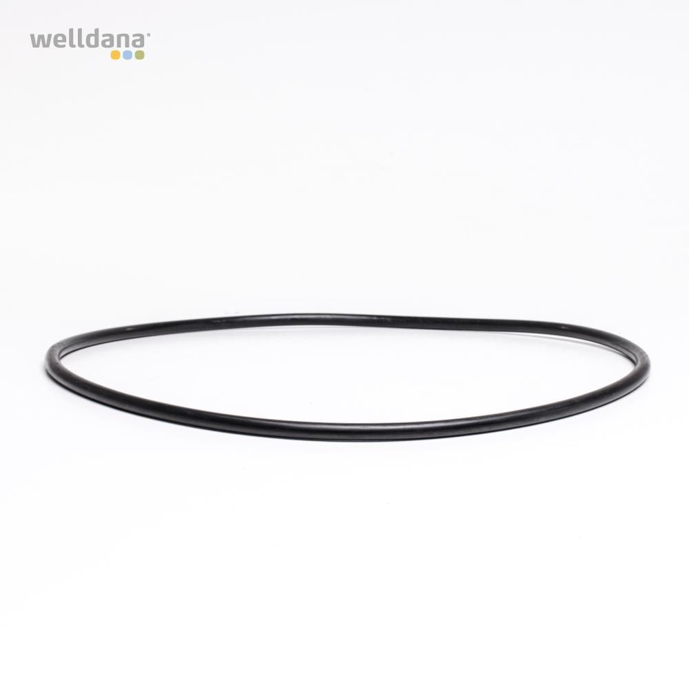 49 421108 welldana0 pool udstyr oring t forfilter 8l d266 7mm 1