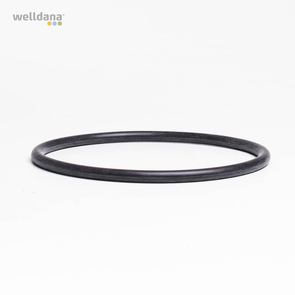 39 102103 welldana 0 o ring til pumpehus max flo xl