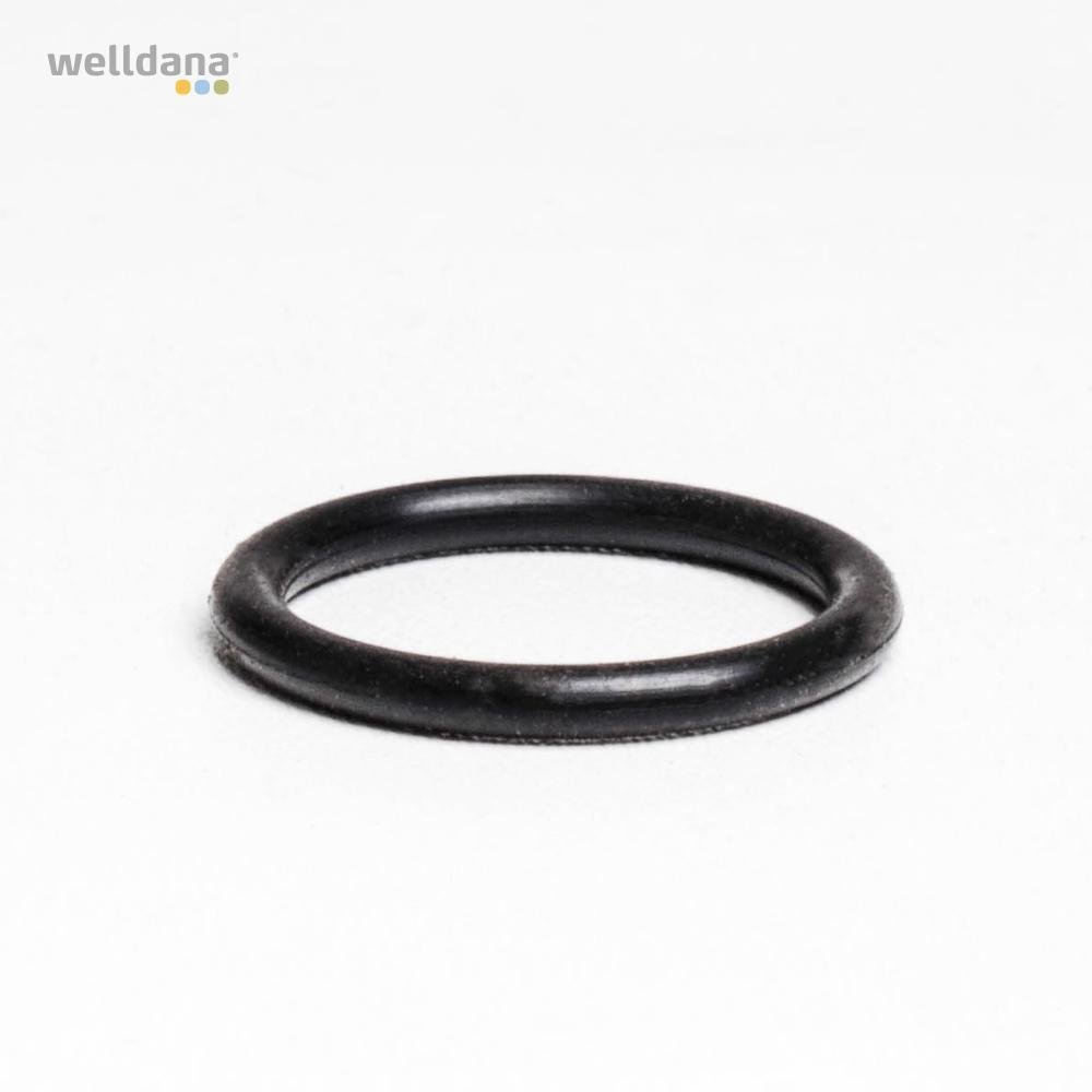 39 220280 welldana 0 o ring for screw impeller karpa kapri