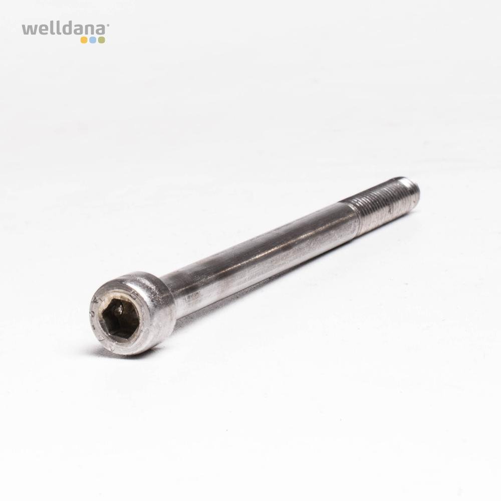 39 220360 welldana 0 bolt m8x110mm kapri