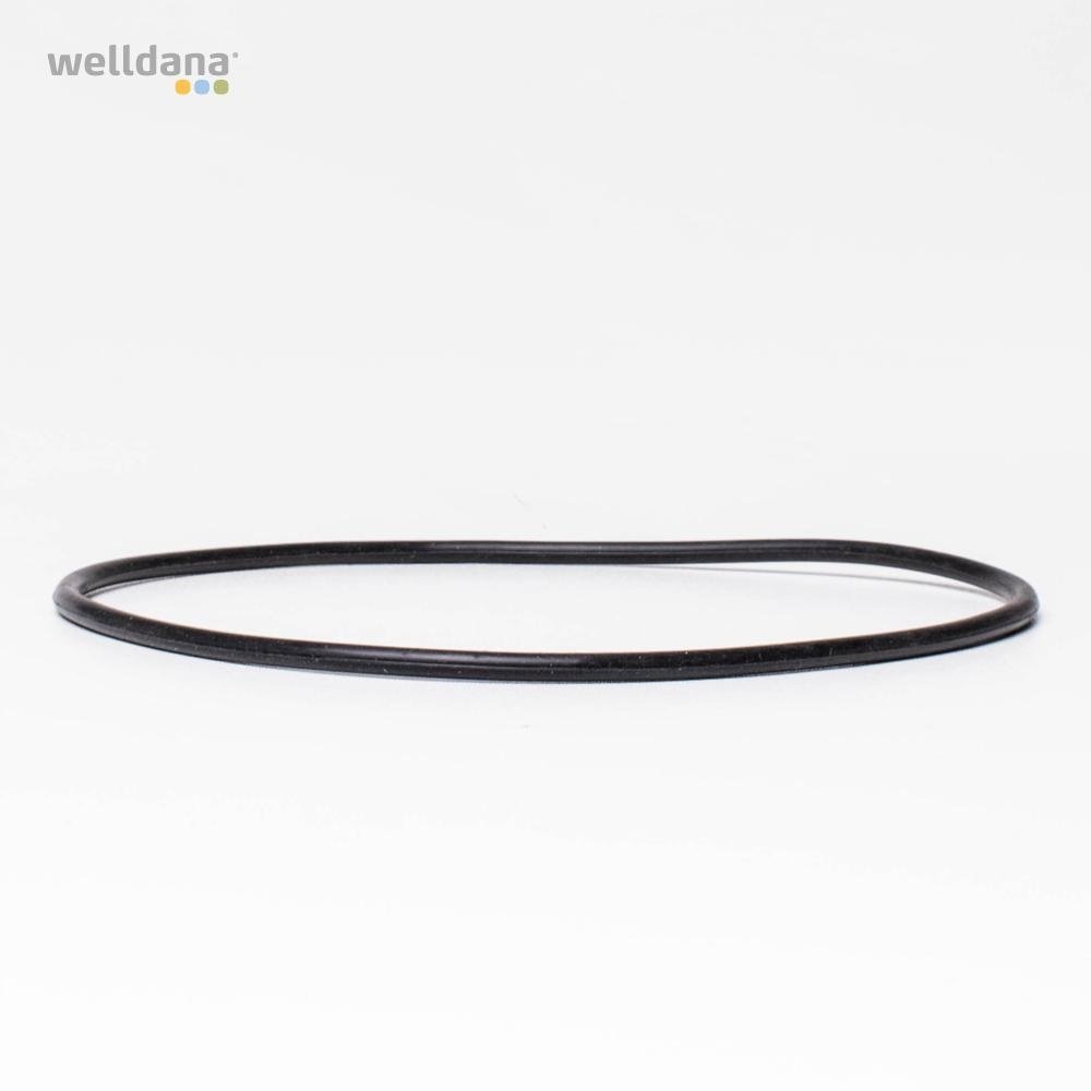 49 100159 welldana 0  o ring til ventillag f wd filtre top