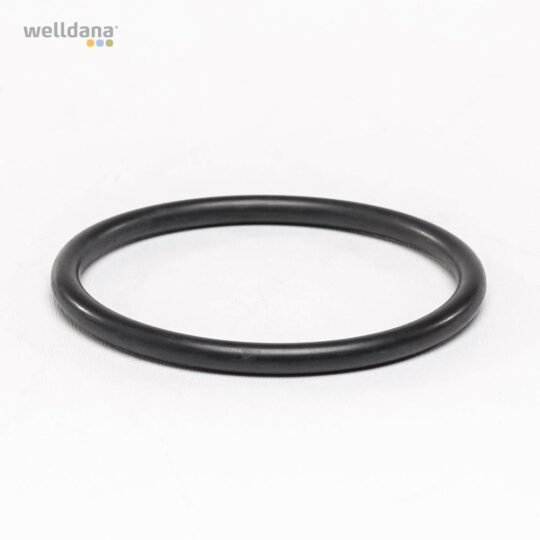 39 190060 welldana 0 o ring celle 1